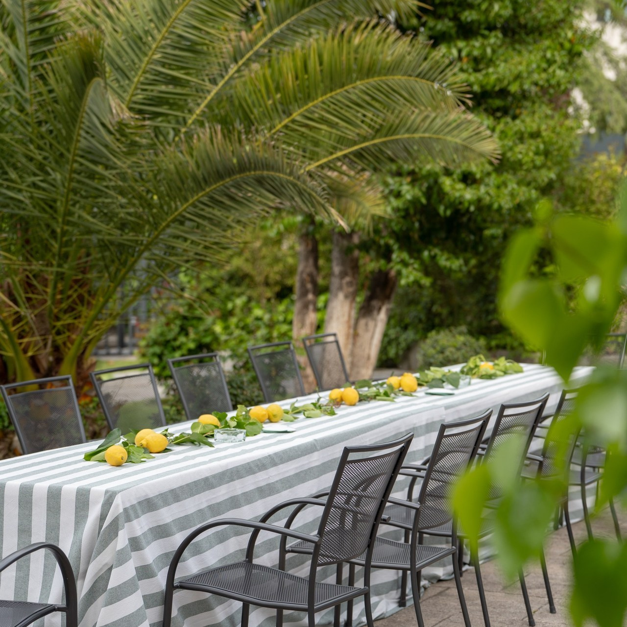 Testimonials feedback review photographer Madrid. Photographer in Madrid, Spain. Alyona Belyaninova