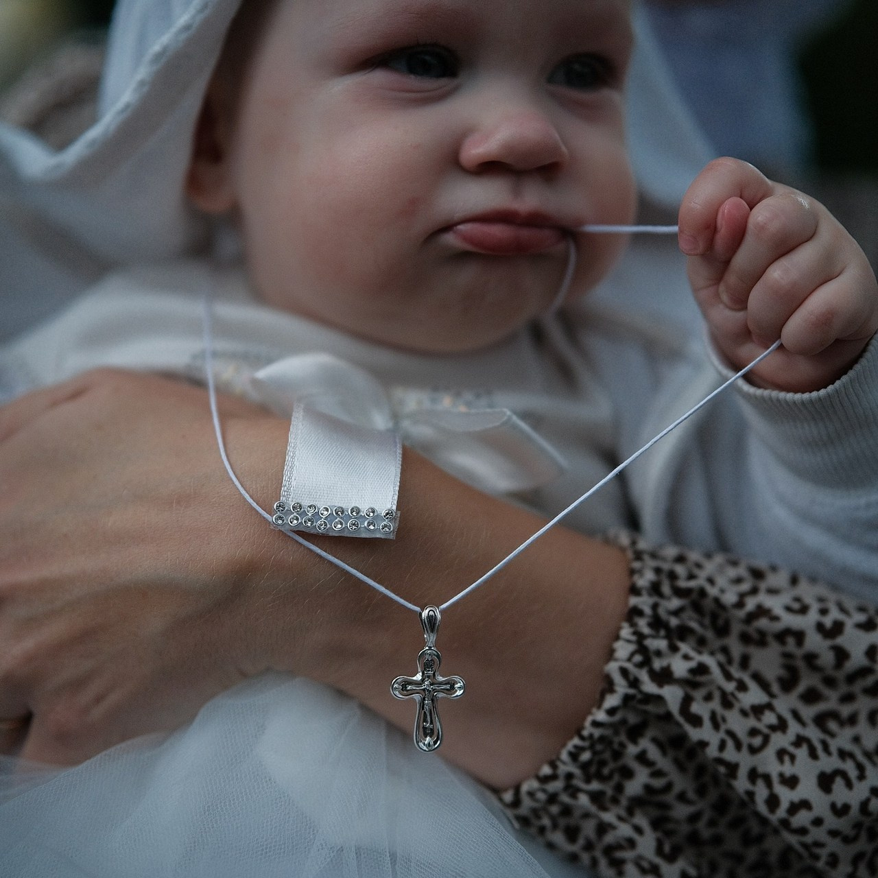 Отзывы. Фотографы Минск и мир