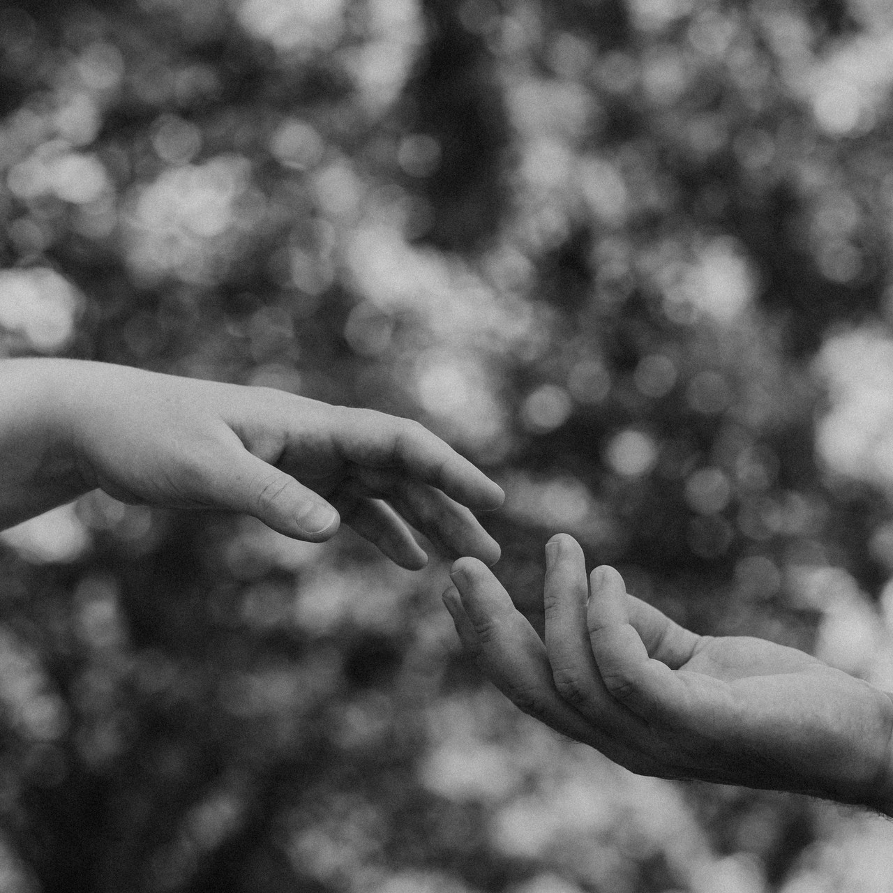 Отзывы. Фотографы Минск и мир