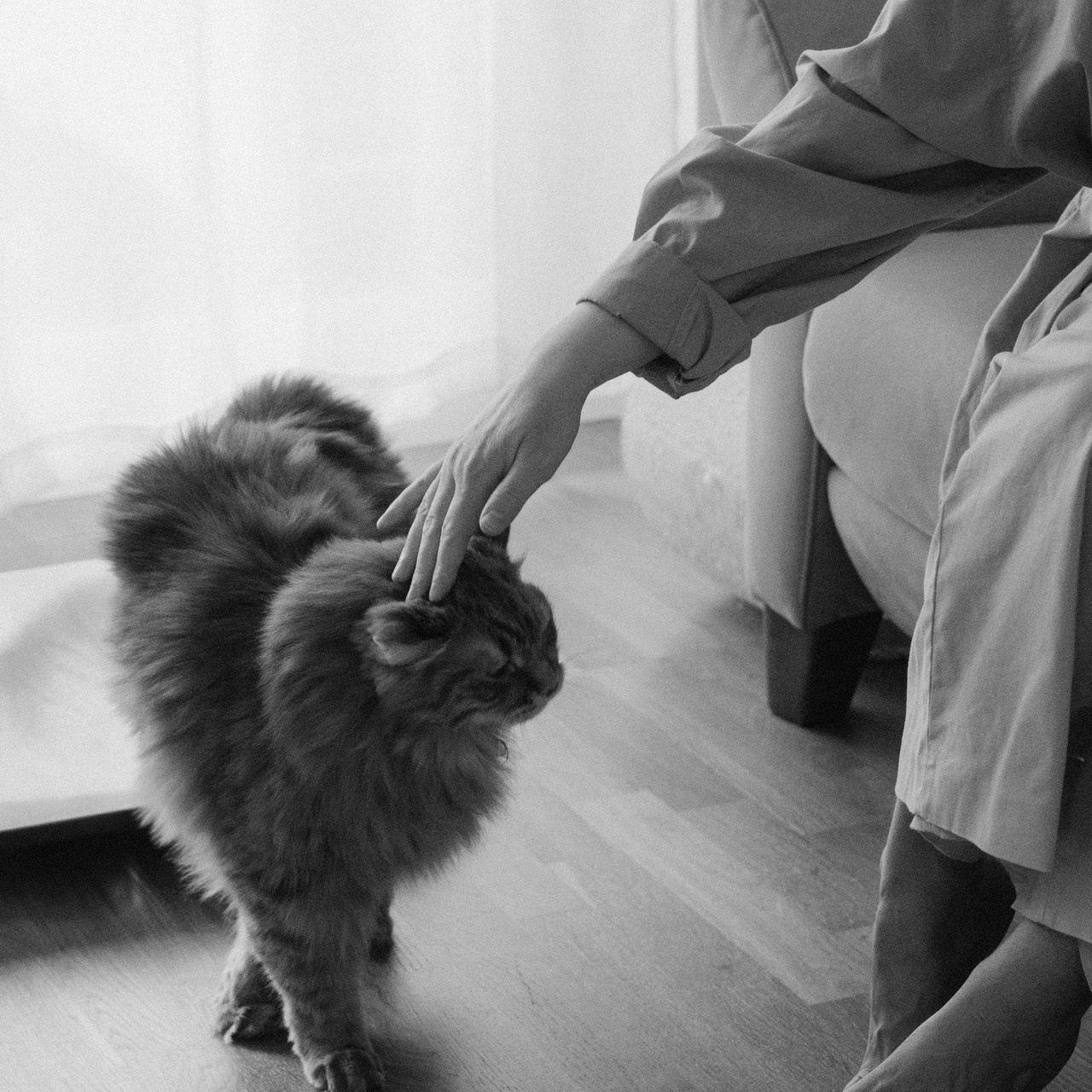 Отзывы. Фотографы Минск и мир