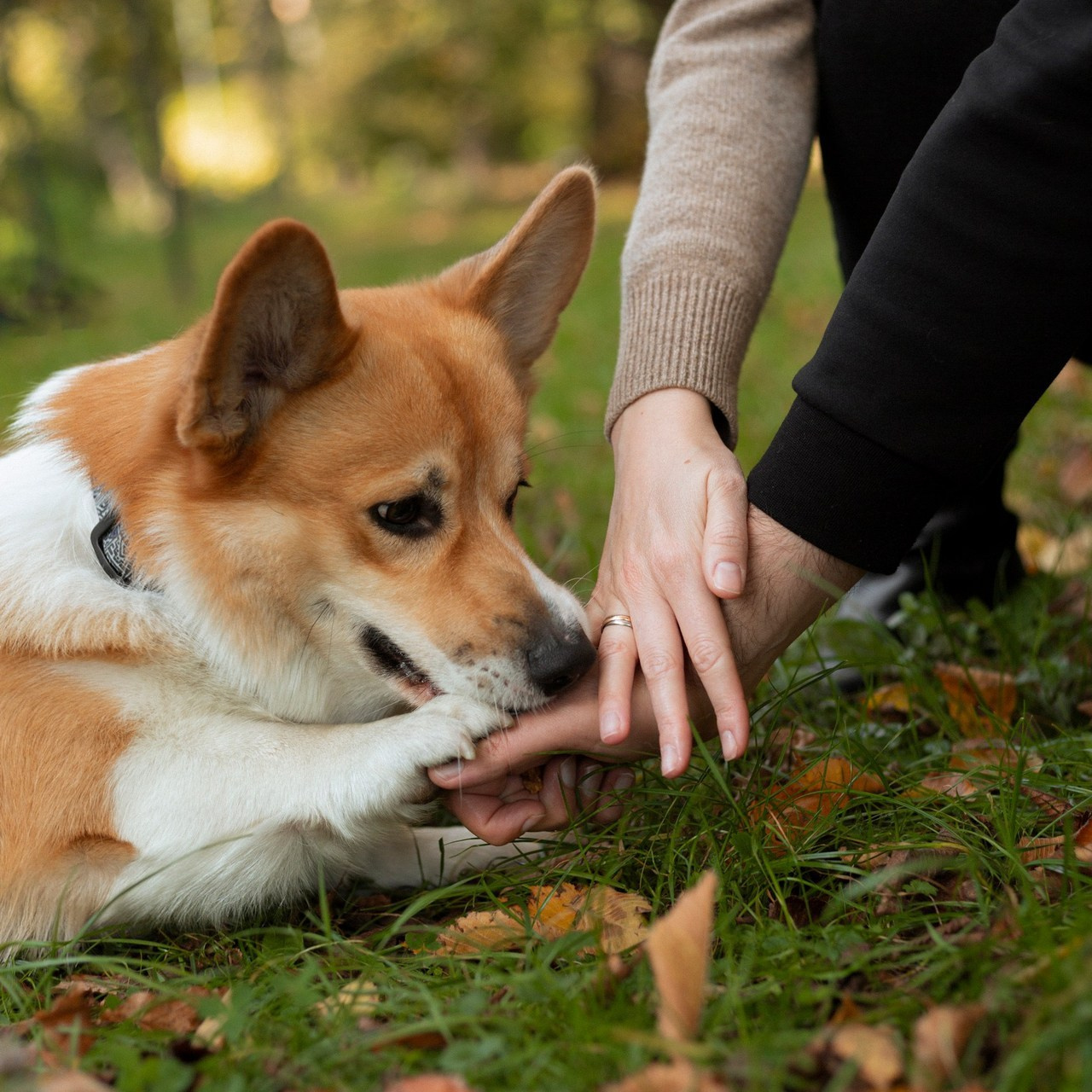 Отзывы. Фотограф в Варшаве Мария Волкова
