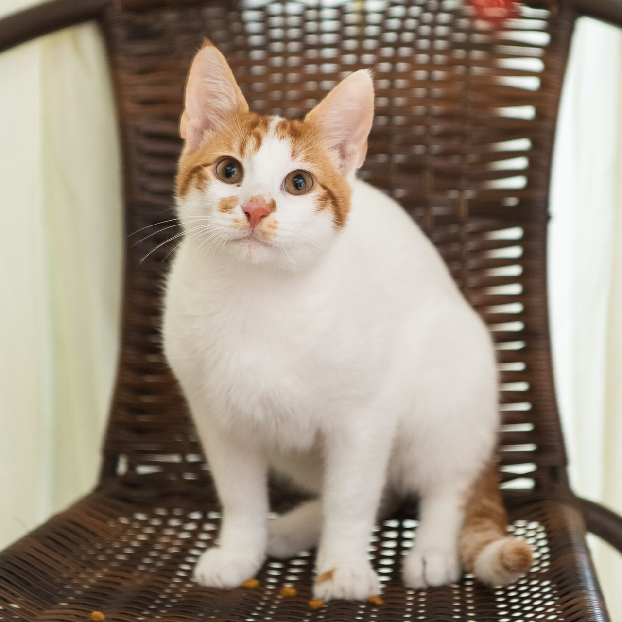 Ревюта. Фотограф в Болгарии Екатерина Зубкова