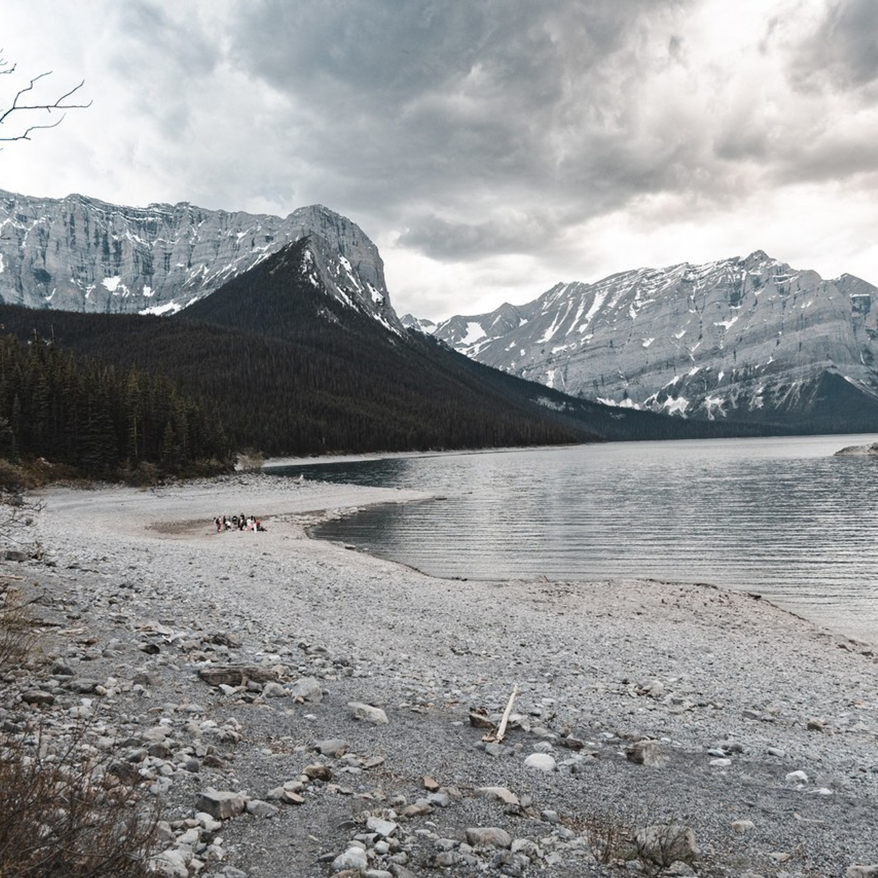 REVIEWS. ProFly.club — Professional aerial filming in Calgary