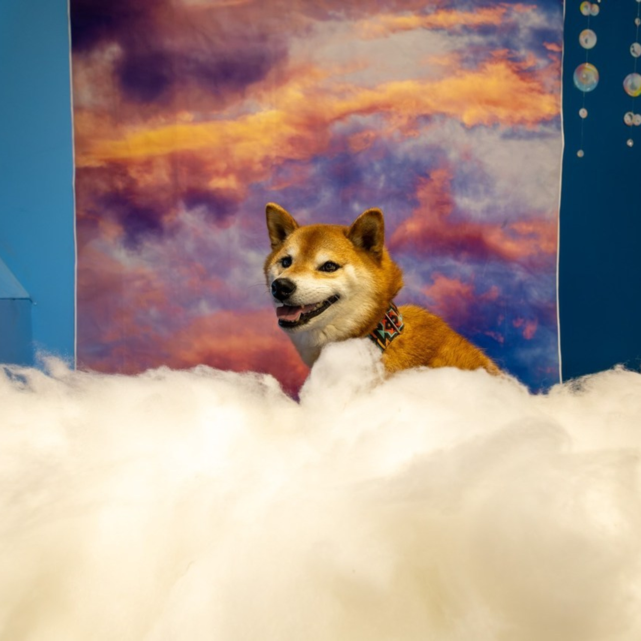 REVIEWS. ProFly.club — Professional aerial filming in Calgary