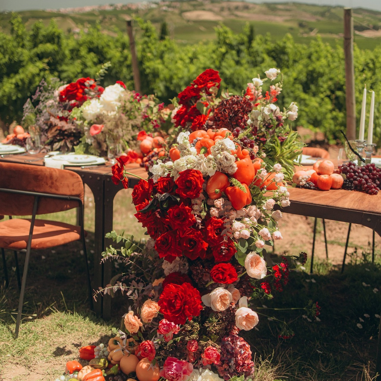 Testemunhos. Matt Fontenele Fotografia