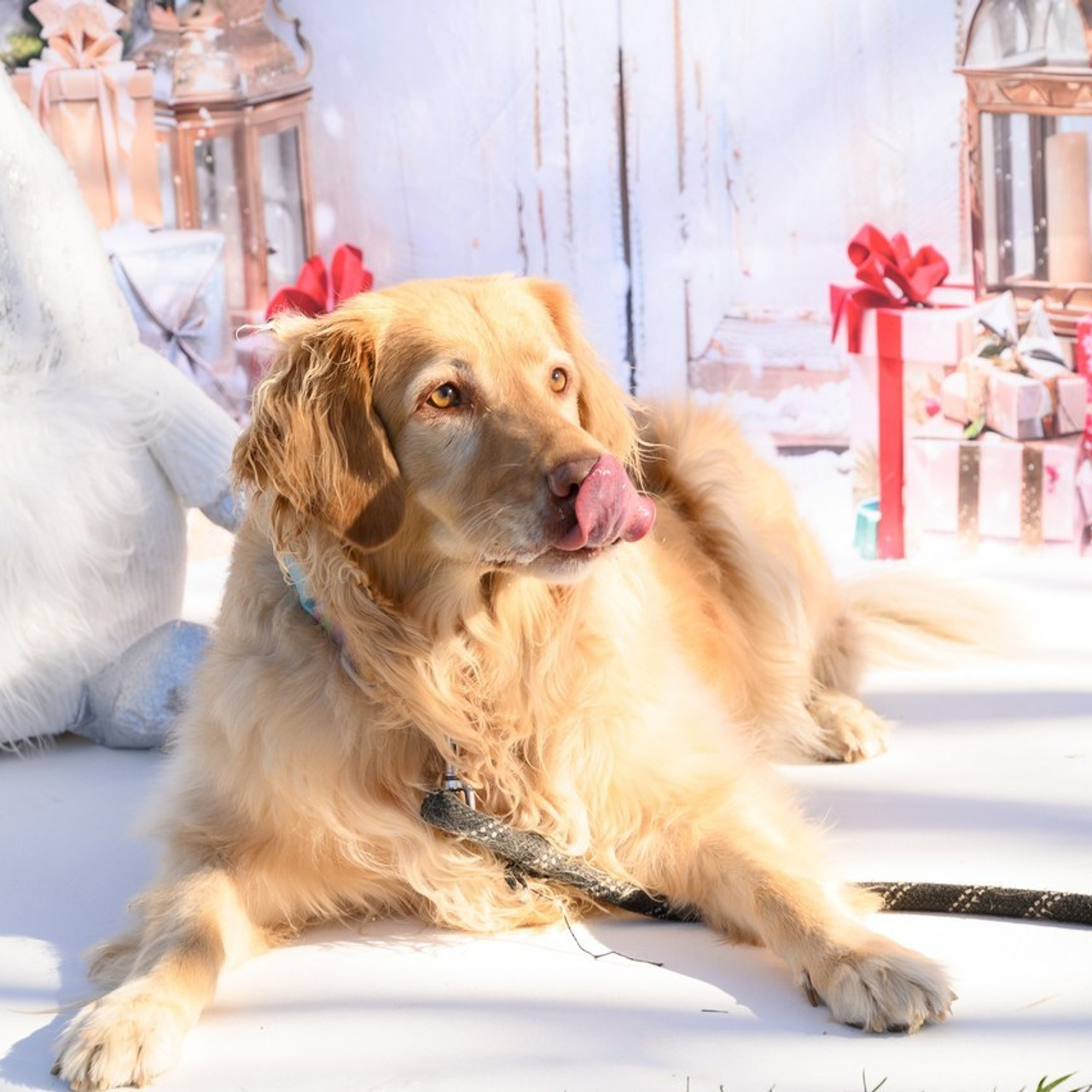 Testimonials. Creative photographer in Las Vegas