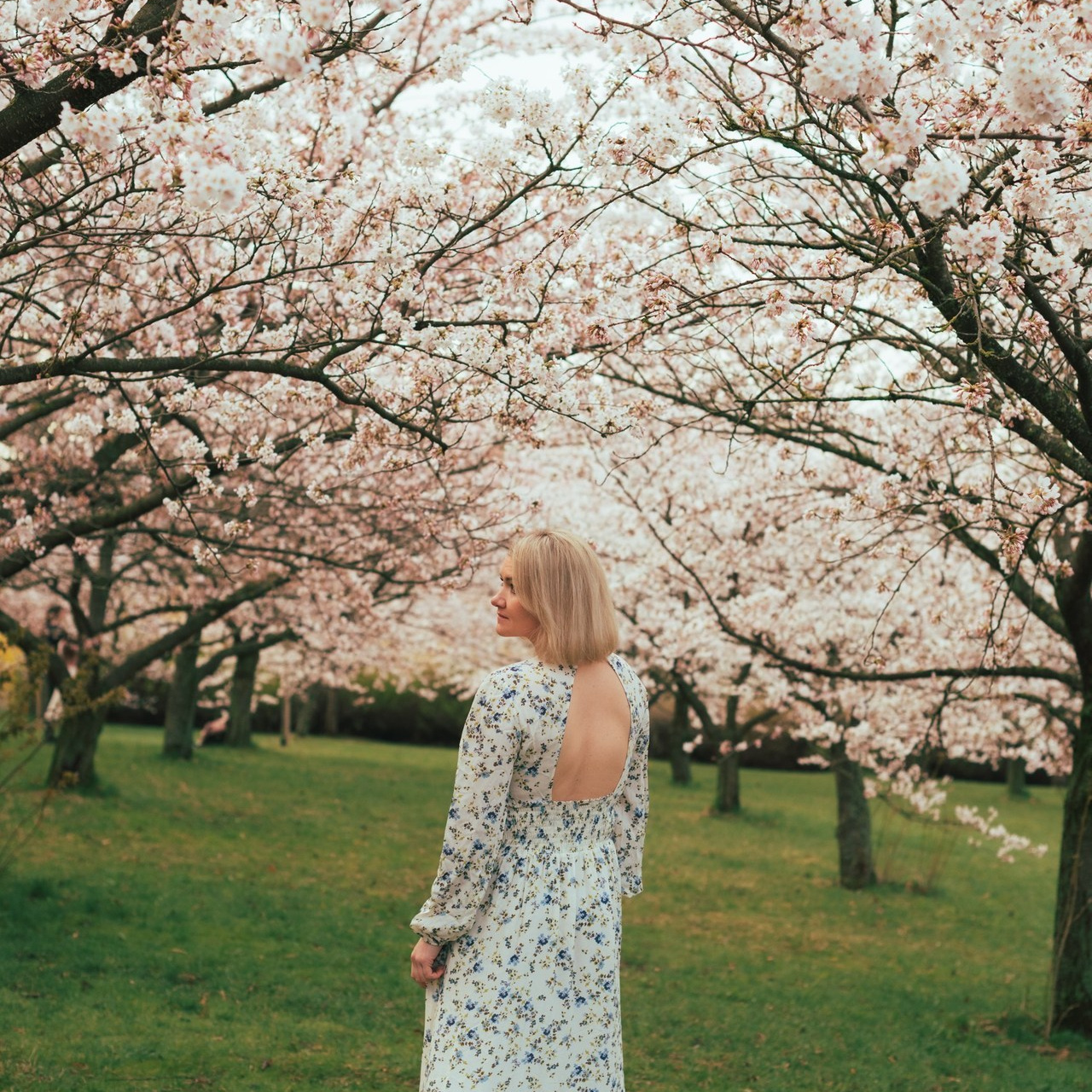 Отзывы. Семейный фотограф и фотограф новорожденных в Вильнюсе Ирина Беленкевич