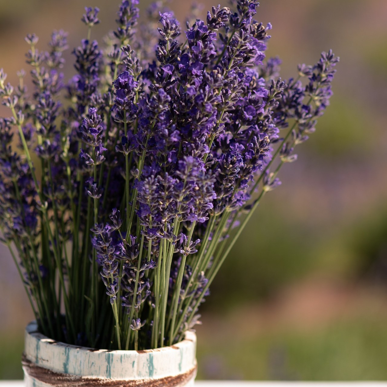 Отзывы. Семейный фотограф и фотограф новорожденных в Вильнюсе Ирина Беленкевич