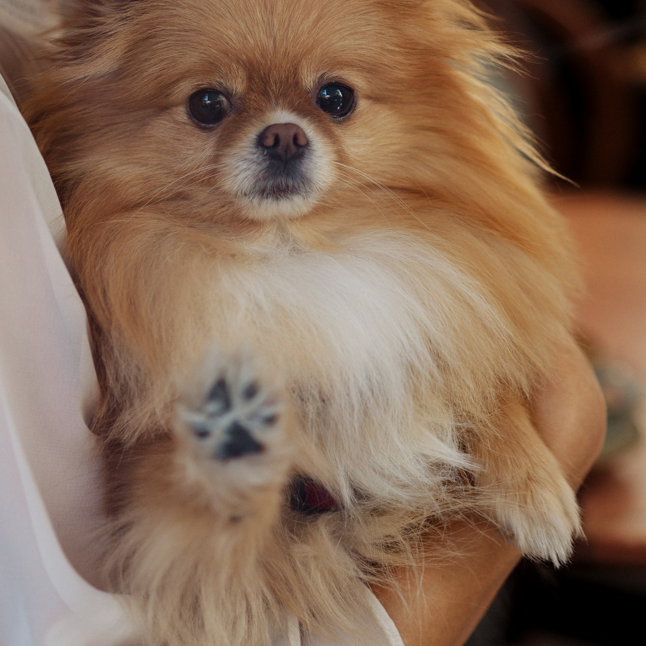 Reviews. Www.iastakhova.com