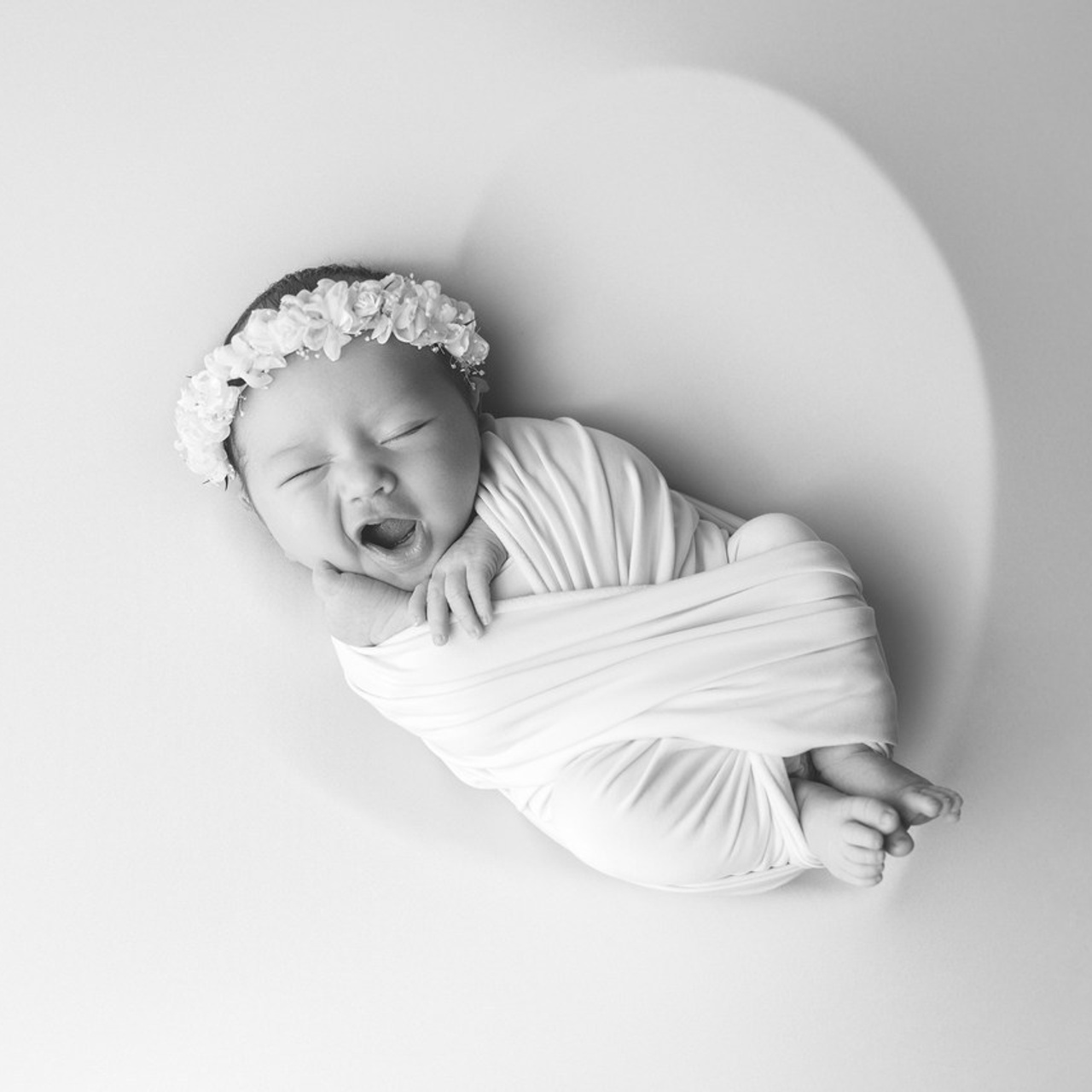 Reviews. JaneProPhoto | Tampa Newborn Photographer