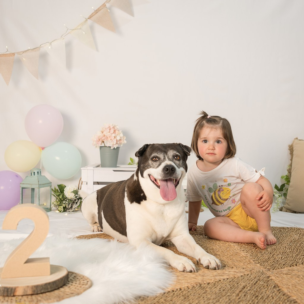 BODAS. Fotos con huella, fotografía de perros y mascotas en Sevilla