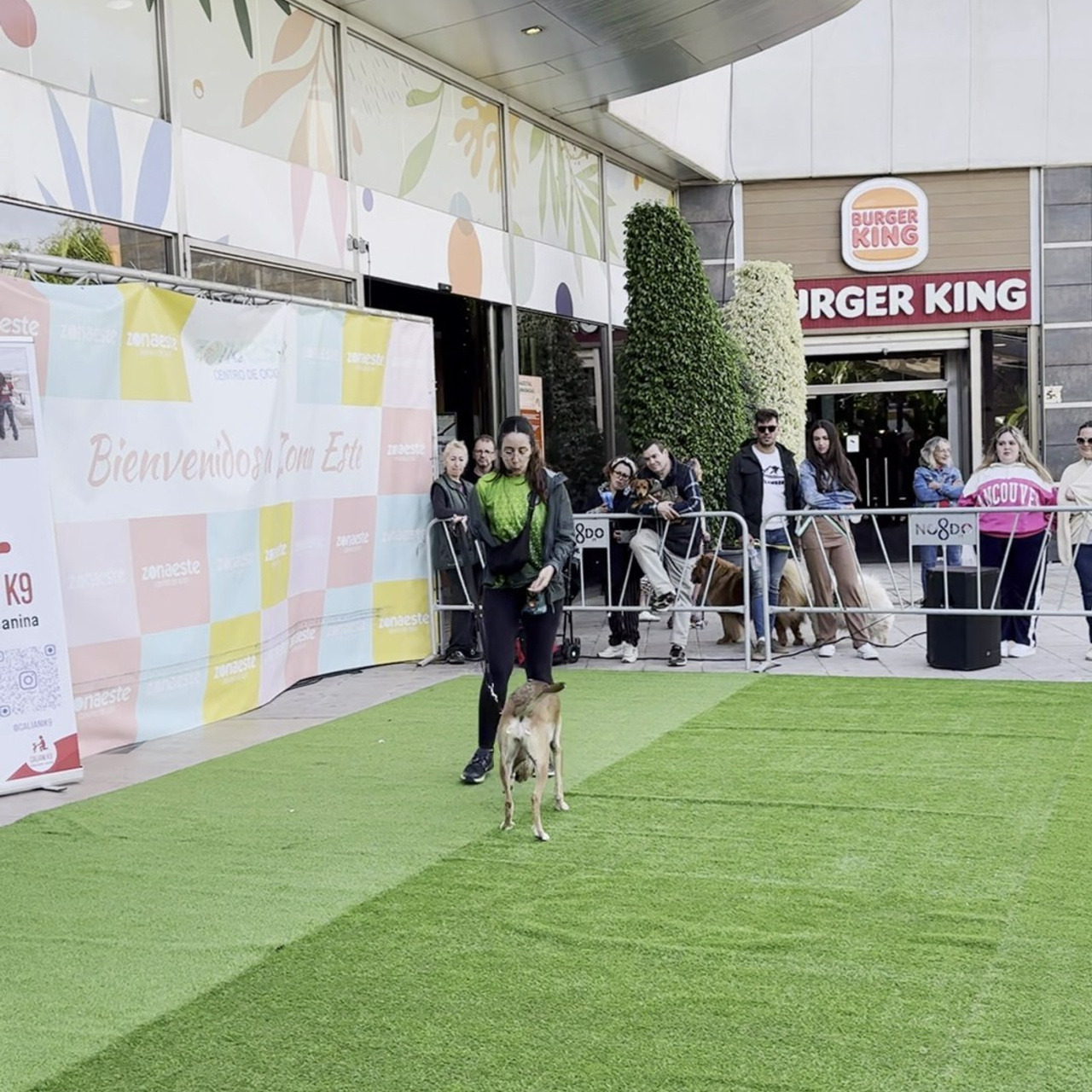 Testimonios. Fotos con huella, fotografía de perros y mascotas en Sevilla