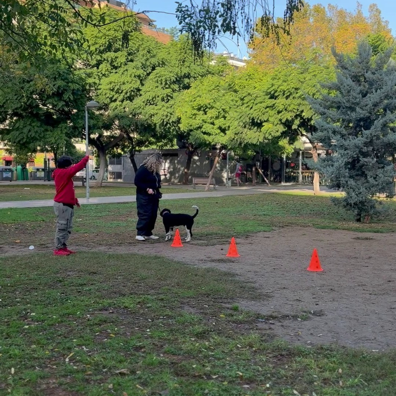 Testimonios. Fotos con huella, fotografía de perros y mascotas en Sevilla
