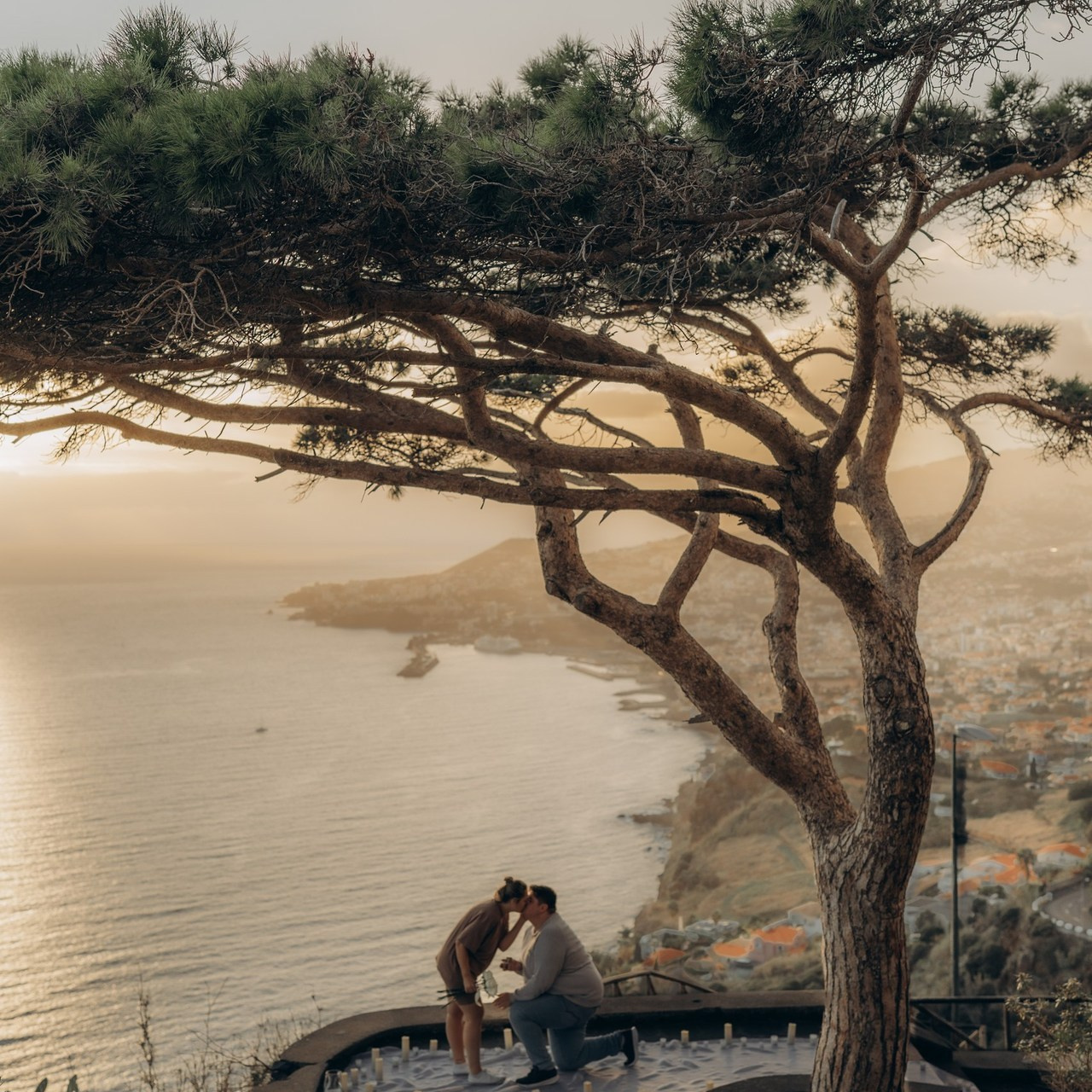 Отзывы. Elumi Фотограф Мадейра