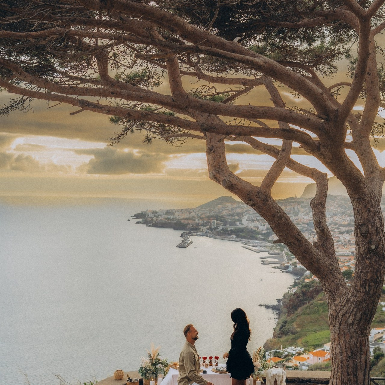 Reviews. Elumi Madeira Photographer
