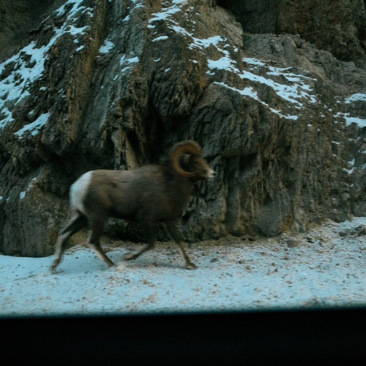 Feedback. Location131 | Vancouver Photographer for Fashion, Portraits, Events and More Across Canada| YVR — Vlad Li