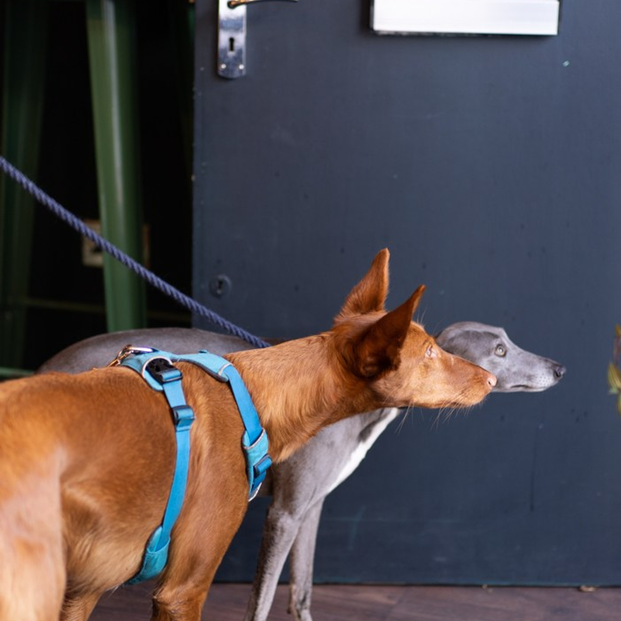 Hata cafe. Photographer & Tour Guide Based in Scotland