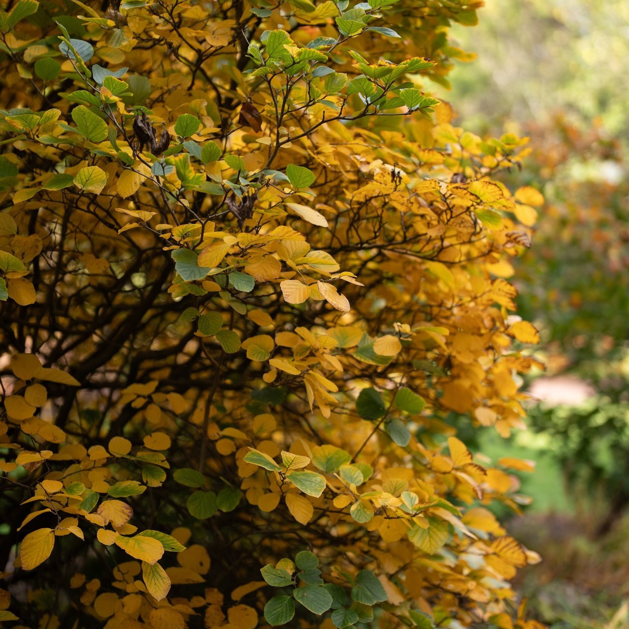 Testimonials. Photographer