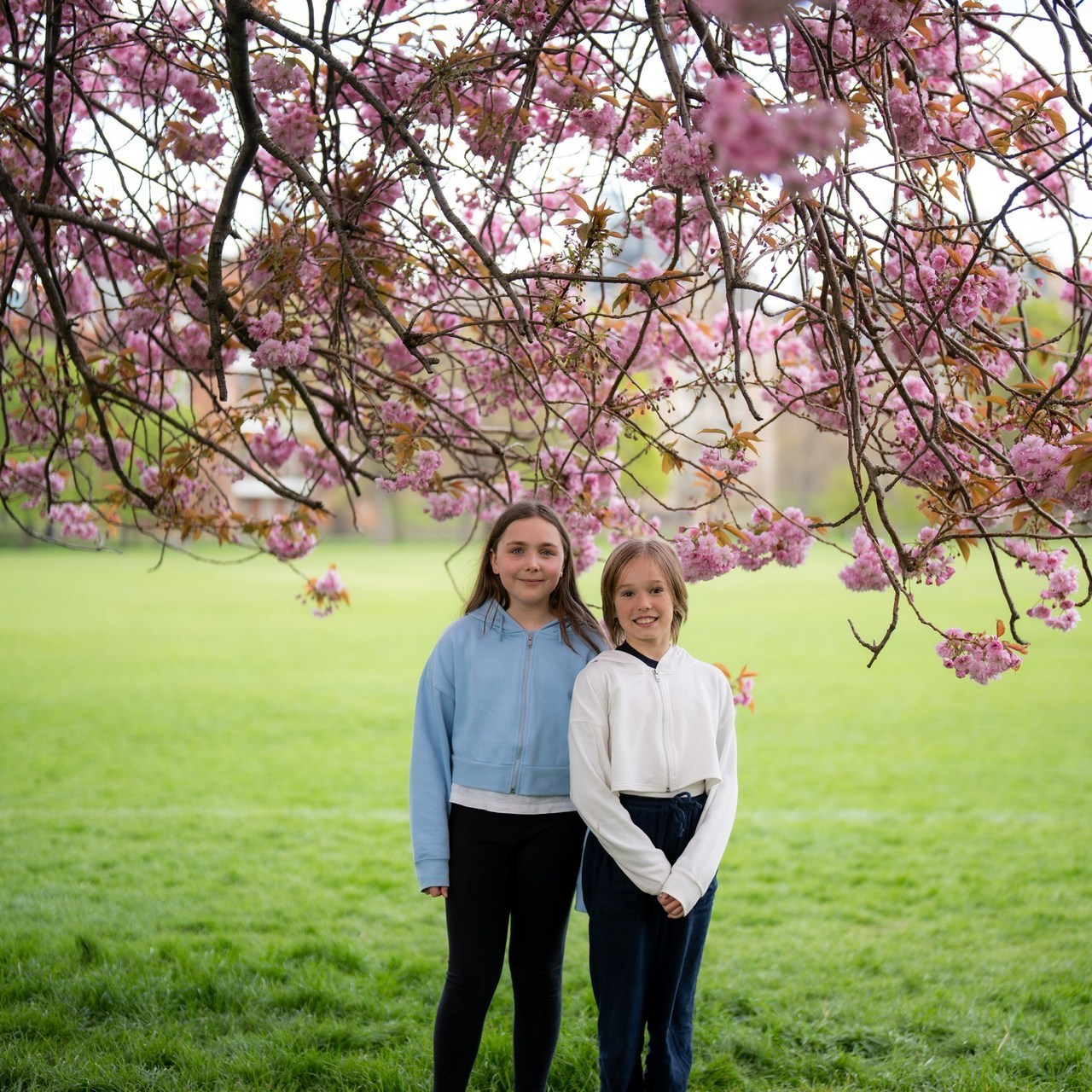 Testimonials. Photographer