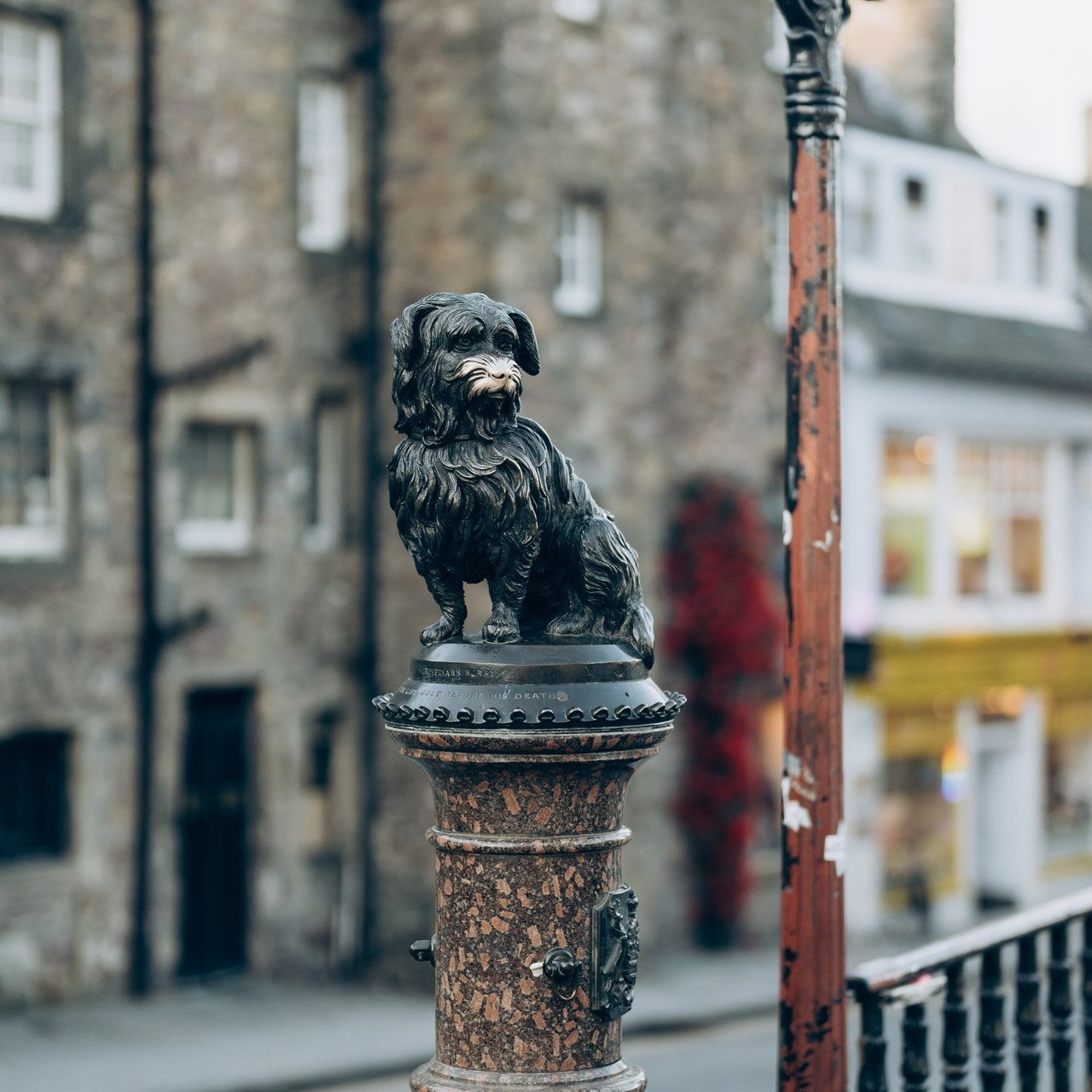 Testimonials. Photographer