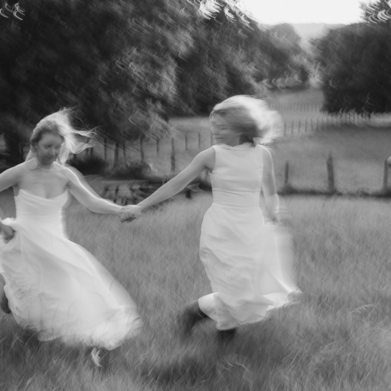 Testimonials. Photographer