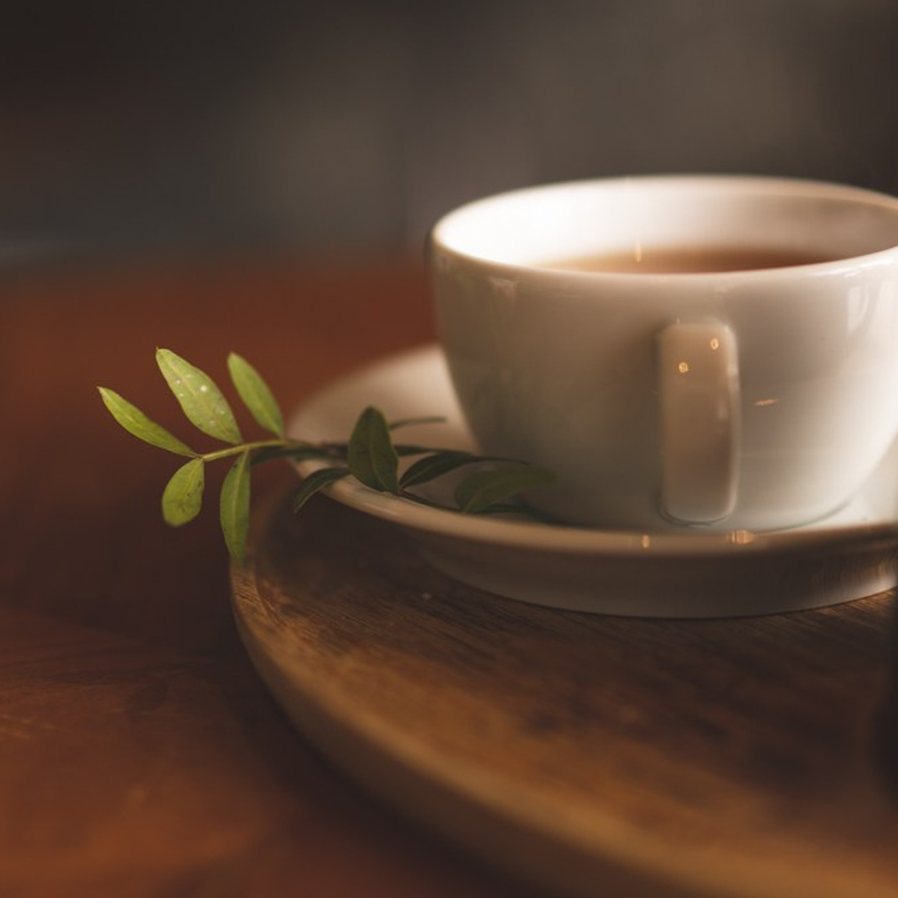 Cafe Angel. Photographer & Tour Guide Based in Scotland