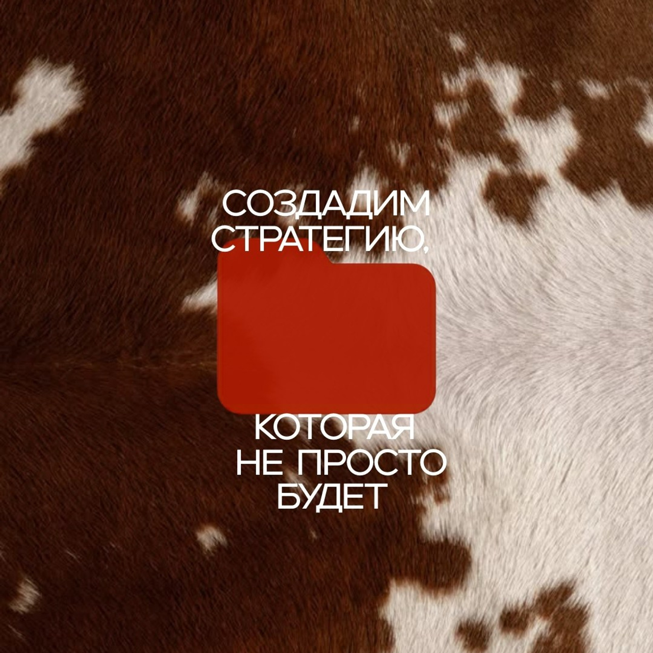 Marketing agency — Instagram stories 9×16