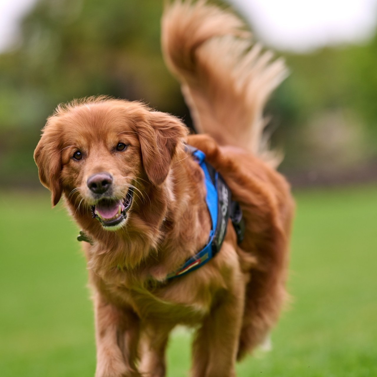 Testimonials. Cindy Law | Vacation & Lifestyle Photographer in Melbourne