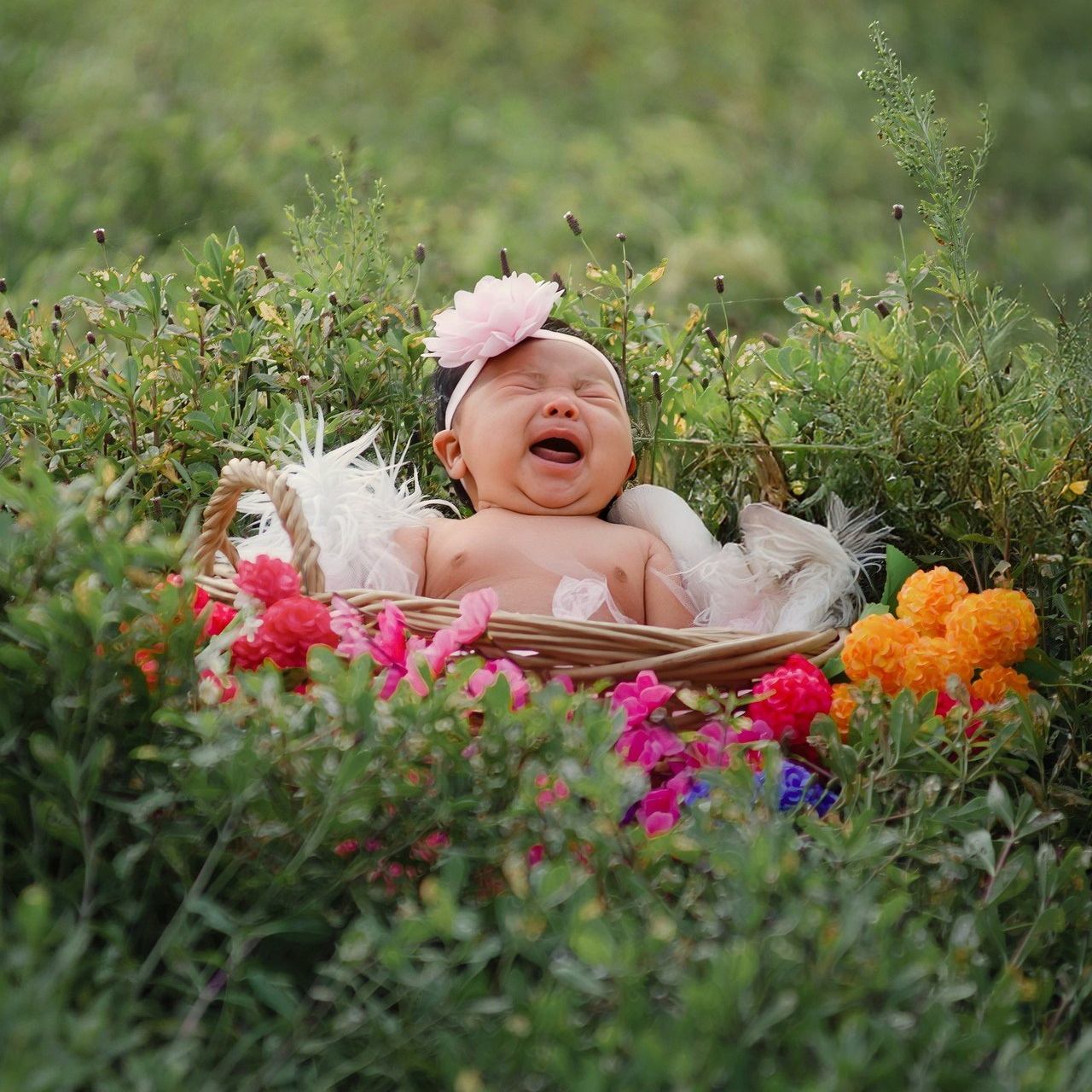 Testimonios. ¡Especialistas en Fotografía de Bodas!