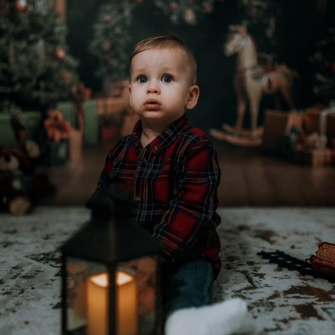 🎄 SEDINTE FOTO DE CRACIUN 2025. Emotions Photo Art