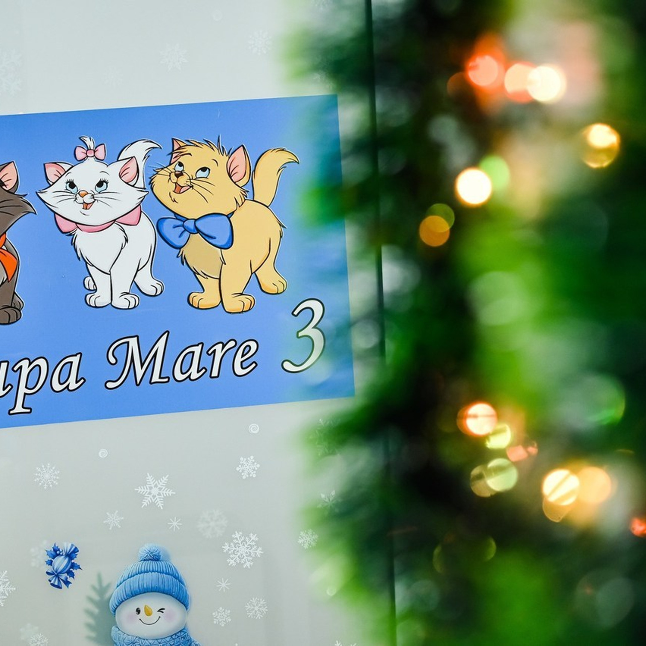 Recenzii primite de FotoEvent88 - Costi Manolache fotograf. Fotograf Nunta Bucuresti