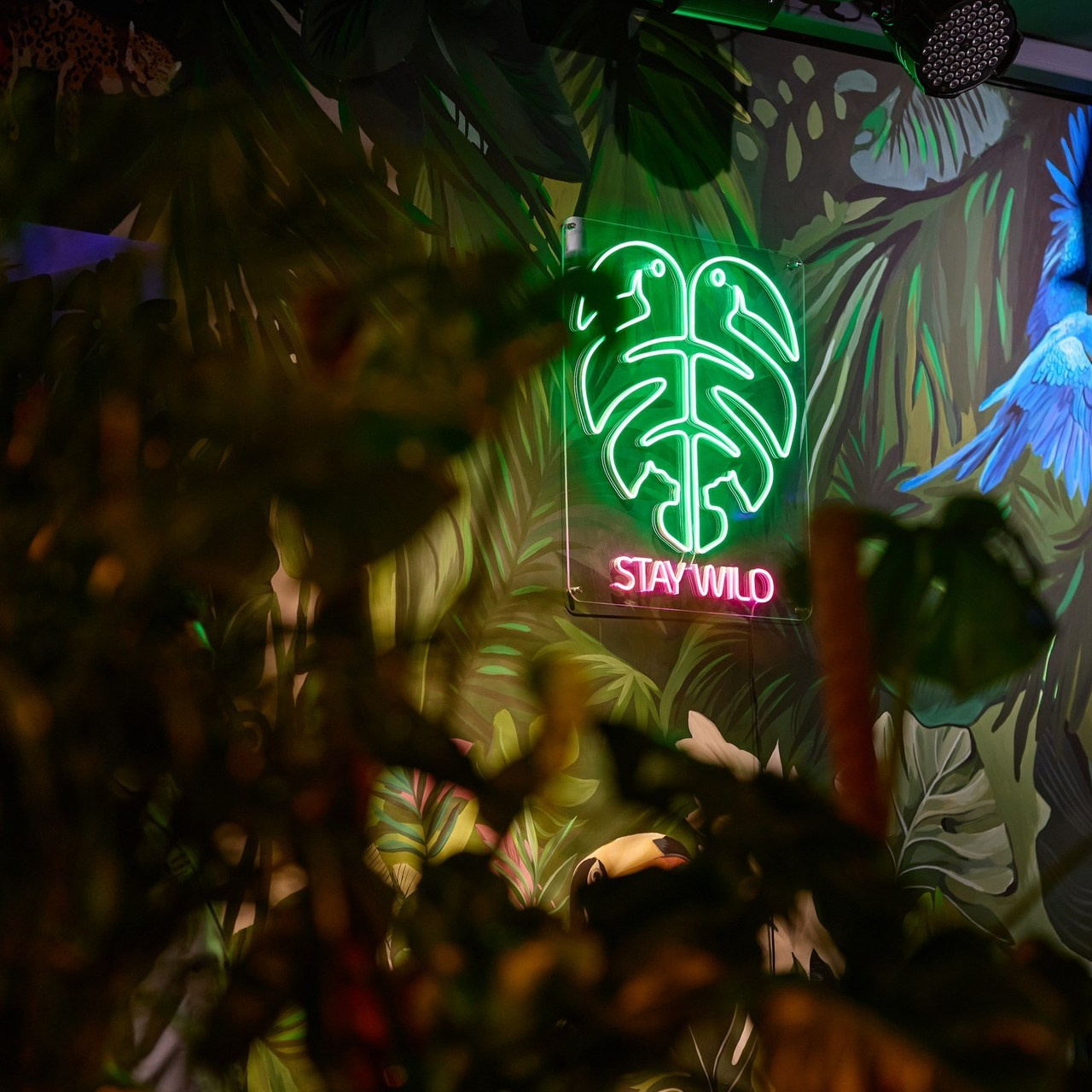 Отзывы. Фотограф Харьков Роман Рубан