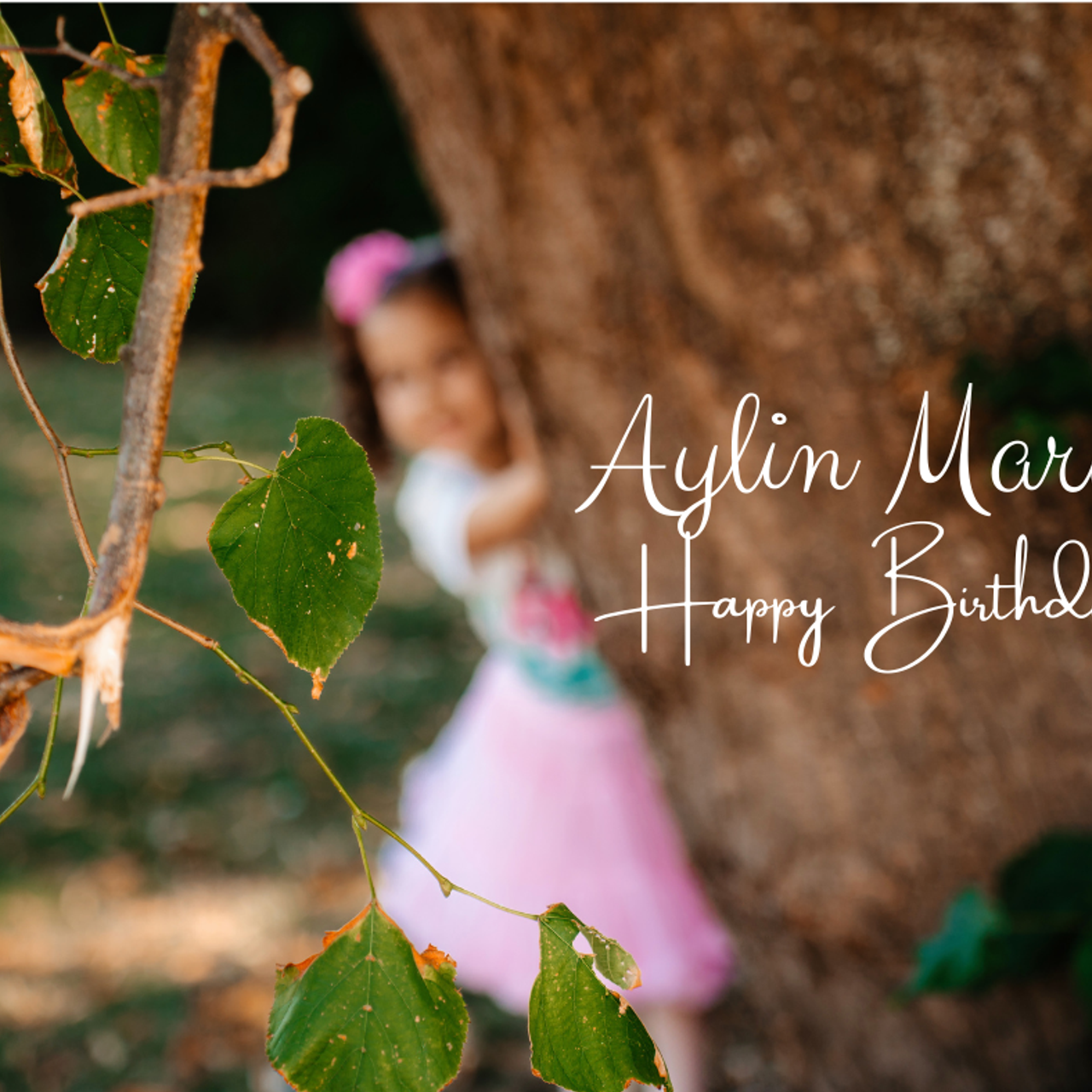 RECENZII. TANTAN IONUT FOTO & FILM