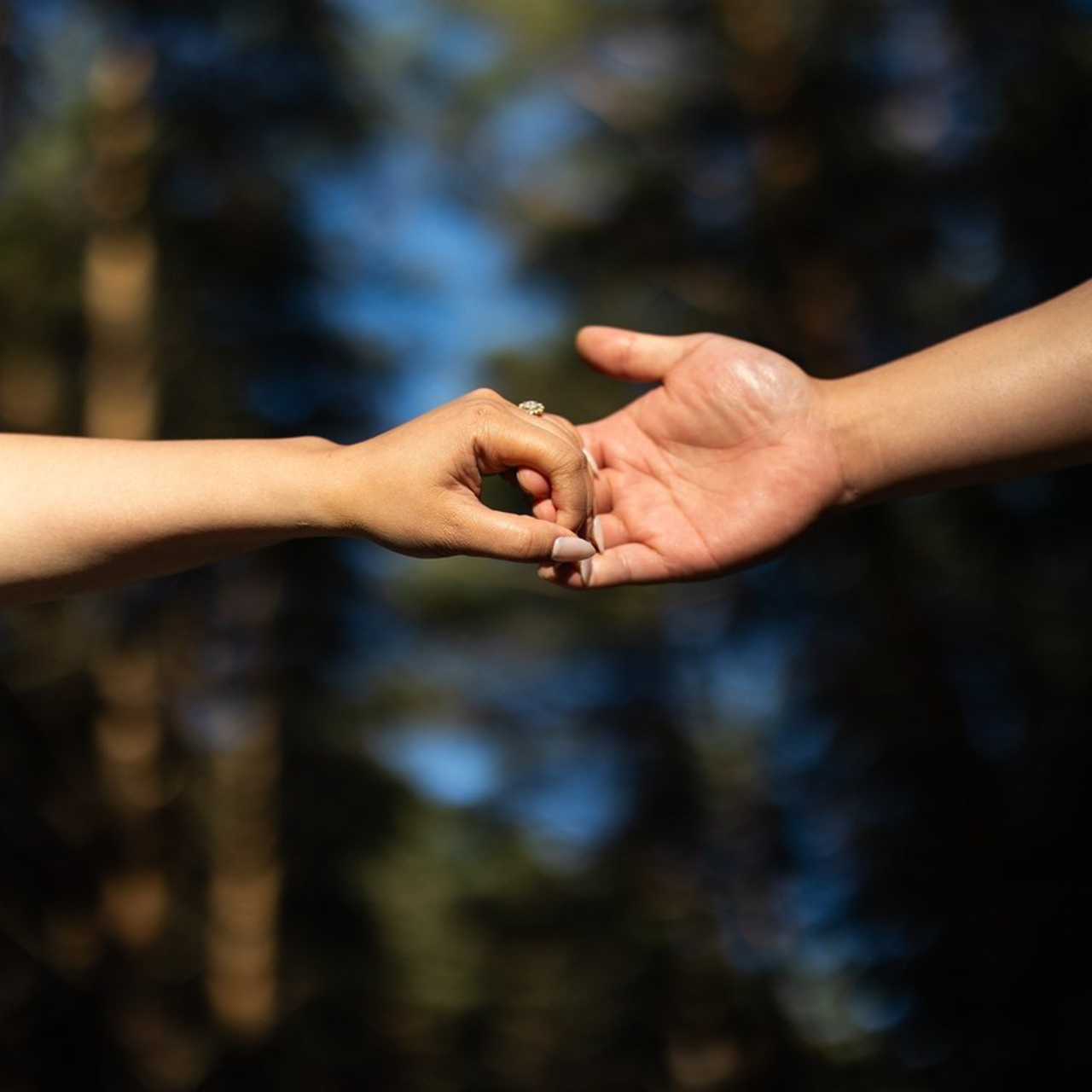 Reviews. Wedding Photographer in Winnipeg — Cinematic & Timeless by Vitiuk Photography