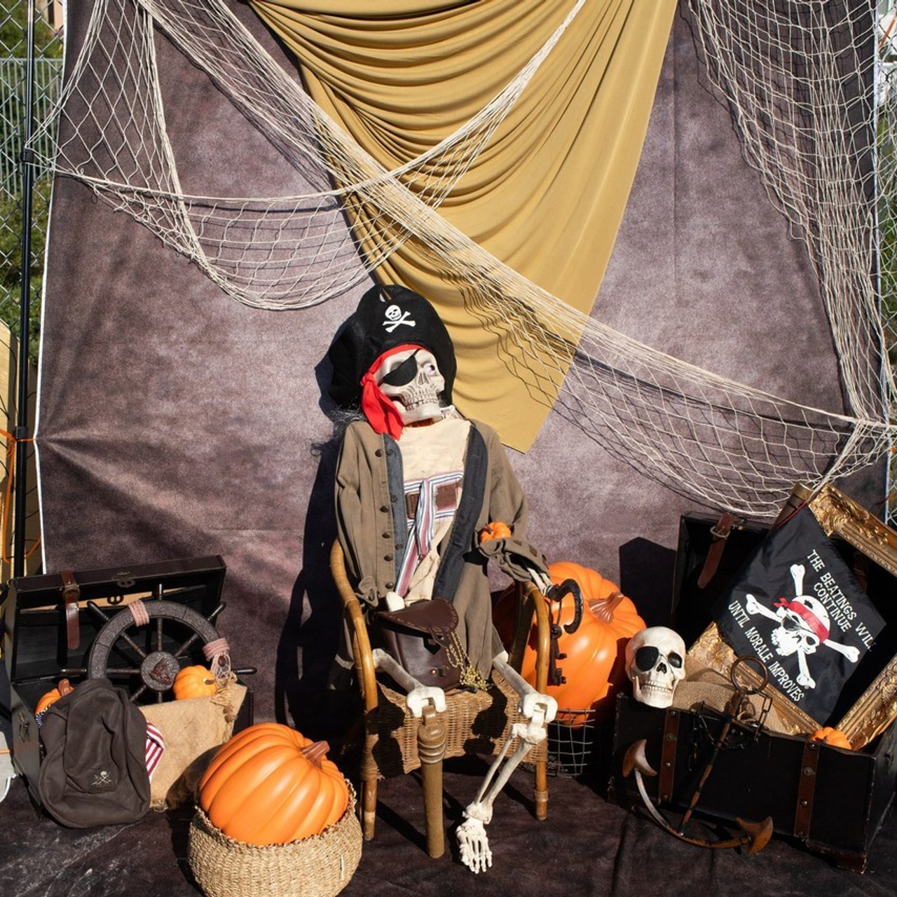 Review. Mary Newborn Photo