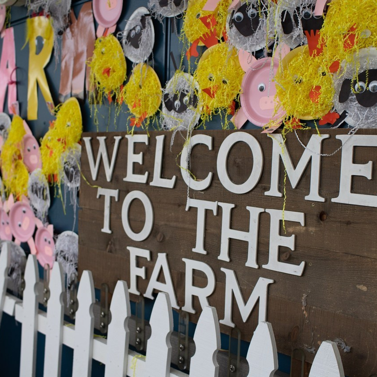 Review. Mary Newborn Photo