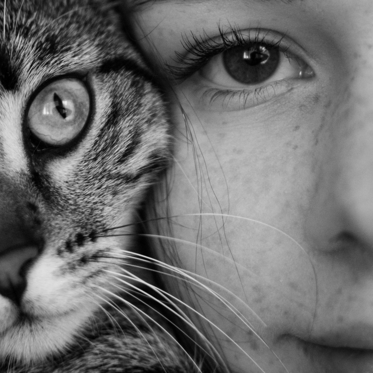 Avis. Photographe animalier à Paris Anna Pereira