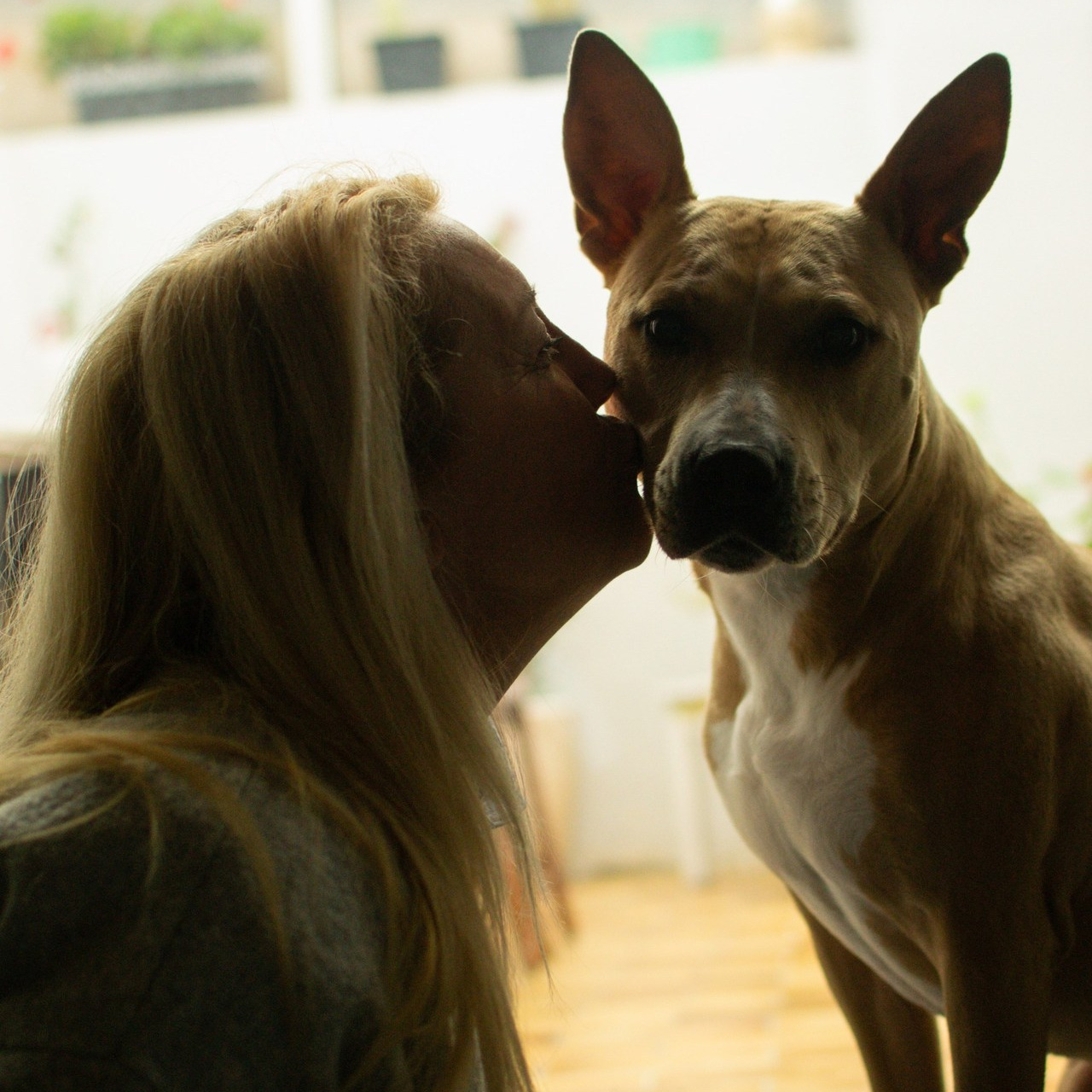 Avis. Photographe animalier à Paris Anna Pereira