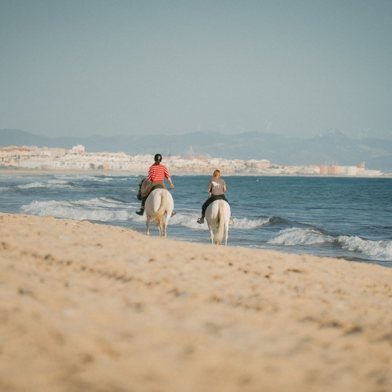 Testimonials. Filmmaker, Photographer & AI Visual Artist in Costa del Sol — Alexandru Avram