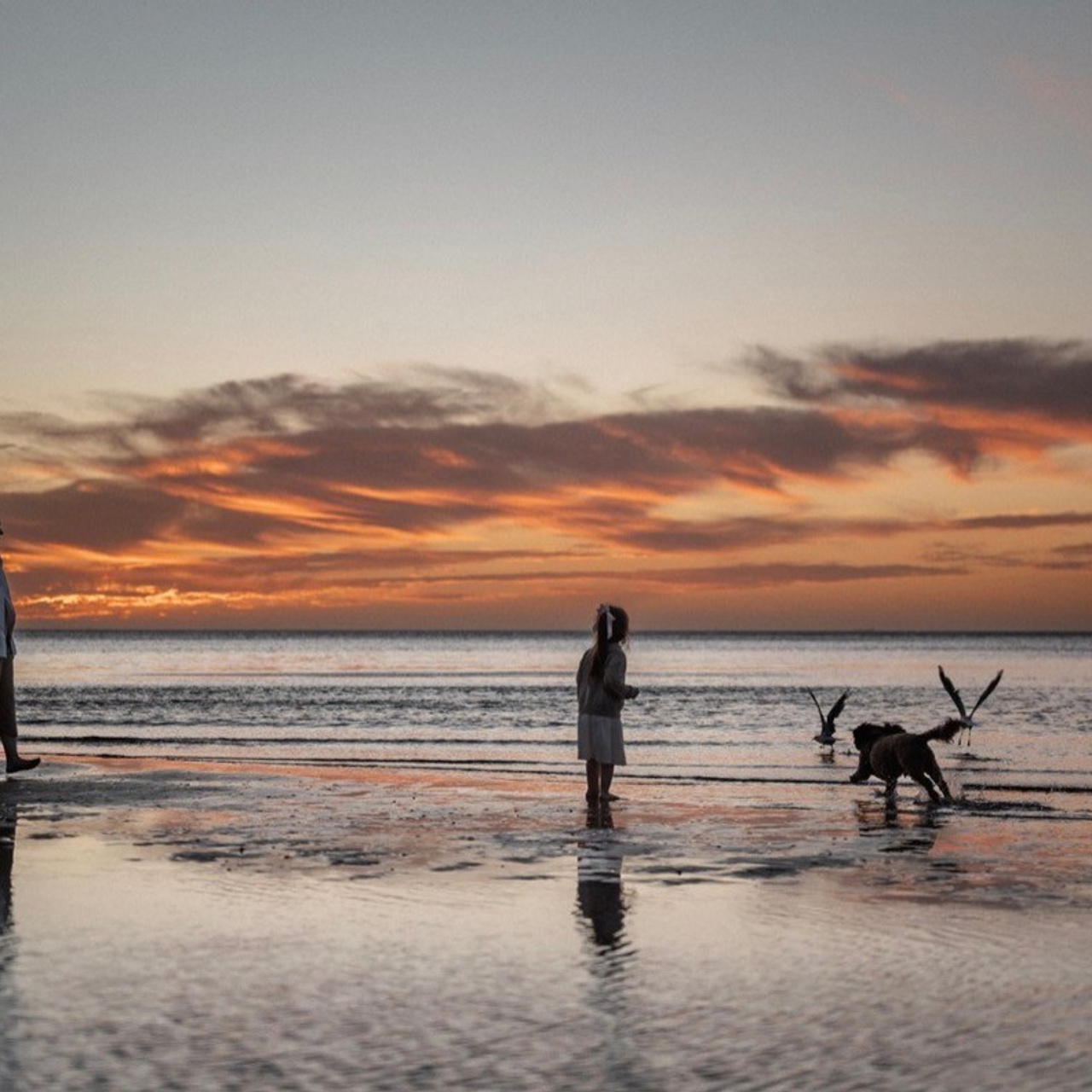 Reviews. Natasha photo Photographer in Melbourne