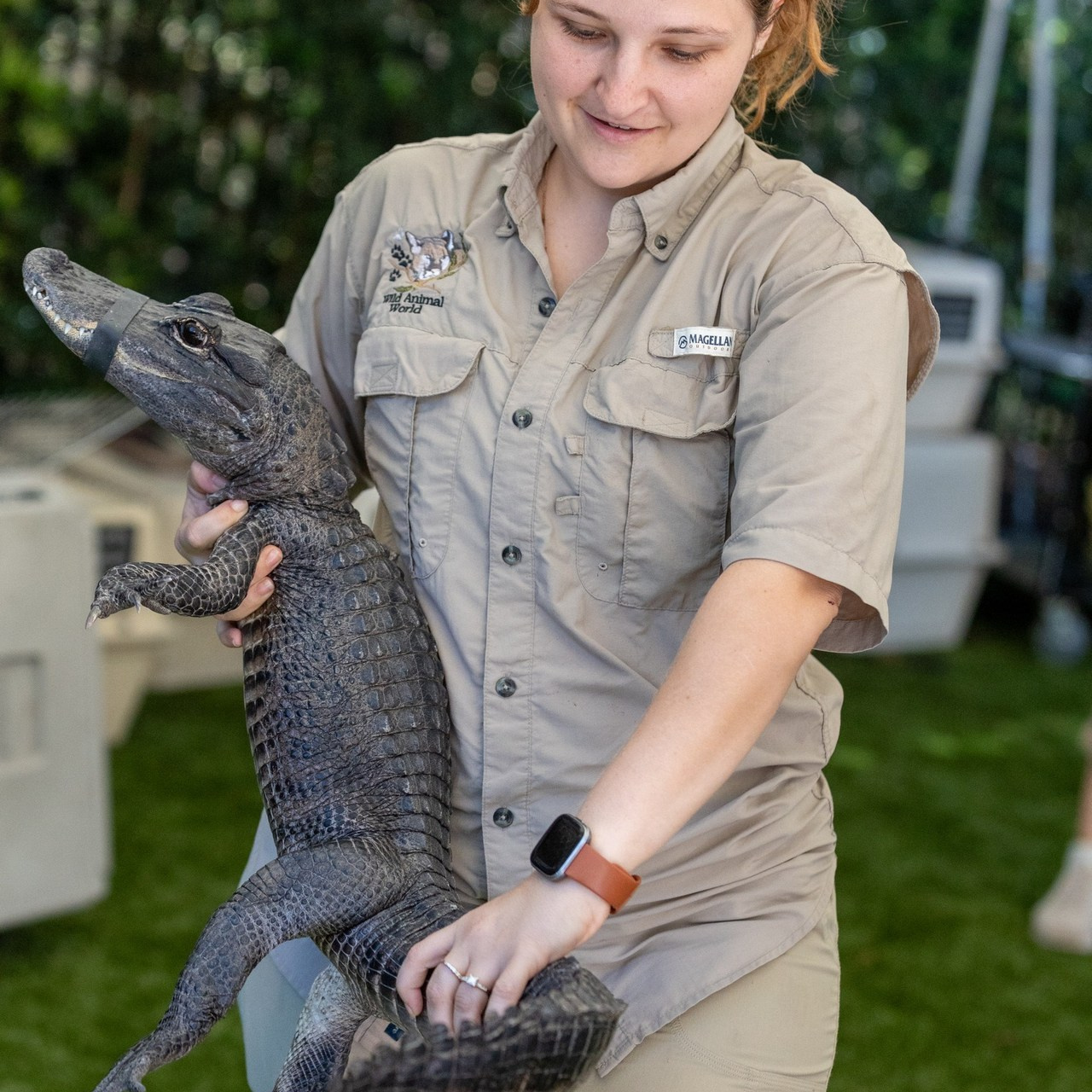 Reviews. Elena Kukhareva