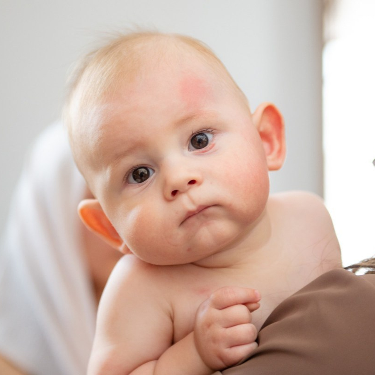 Comentarii. Fotograf de familie Vitalie Budoianu