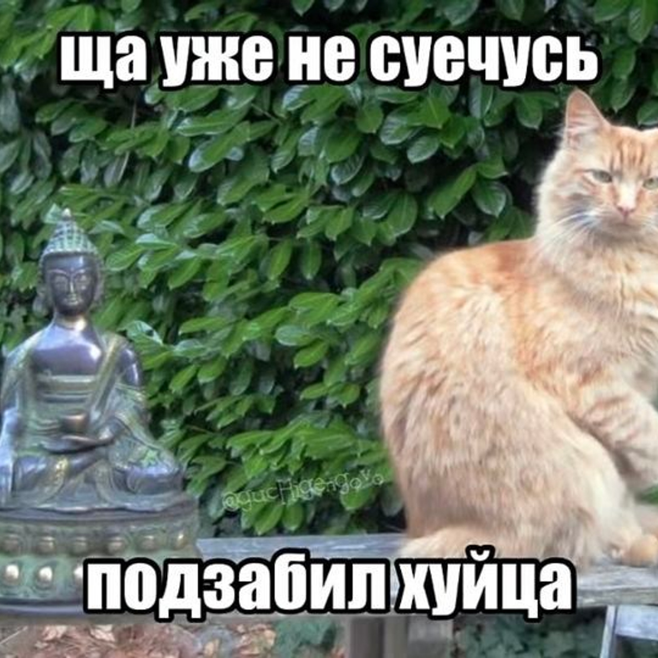 Доска прослезившихся
