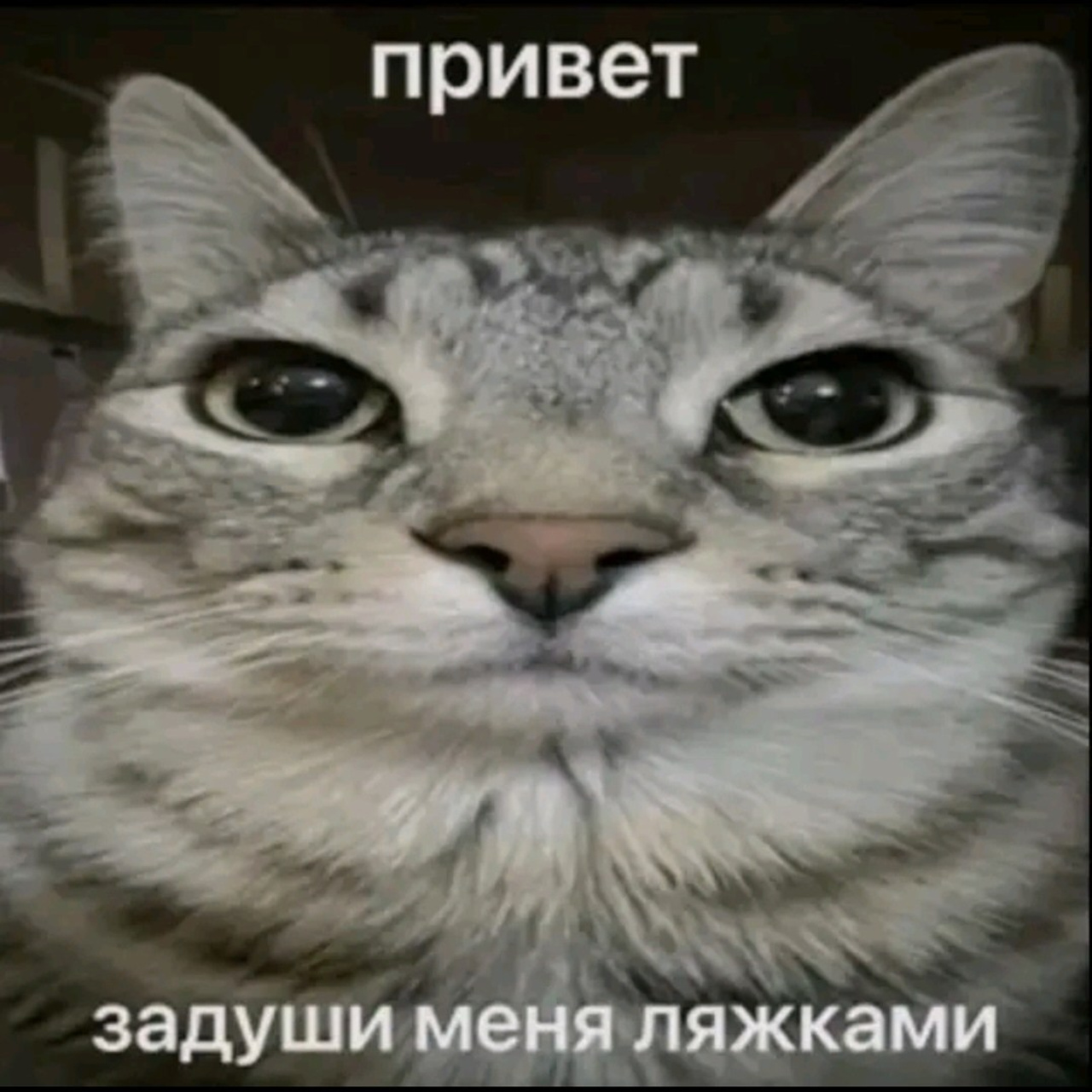 Доска прослезившихся