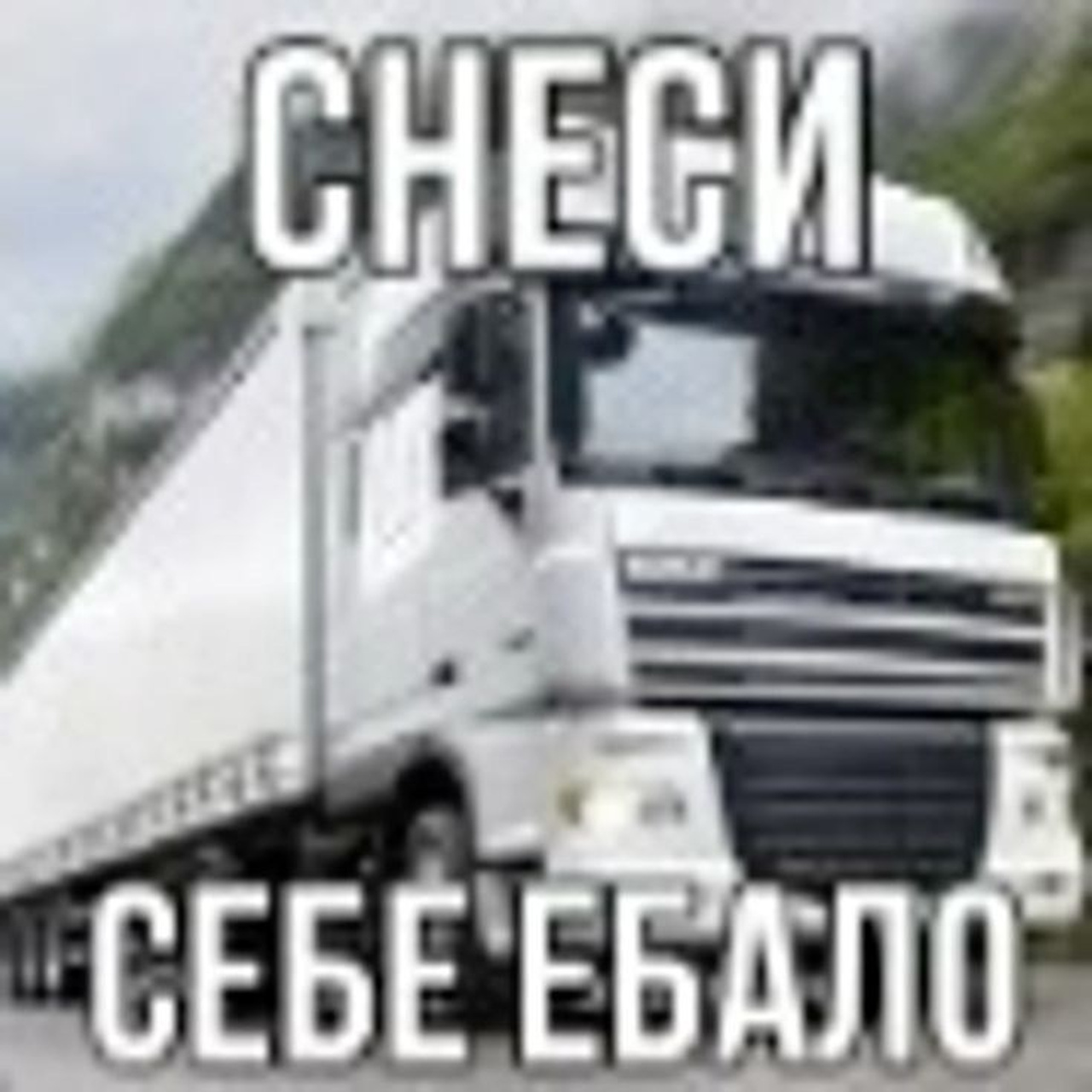 Доска прослезившихся. Wife Material