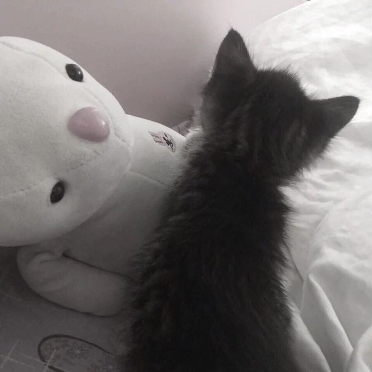 Доска прослезившихся