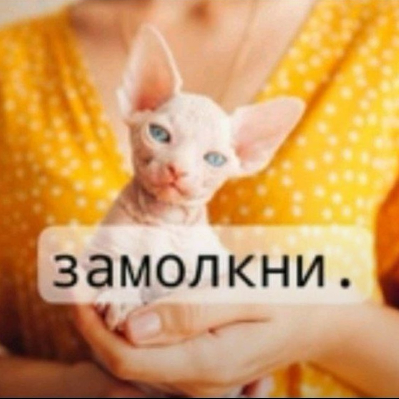 Доска прослезившихся