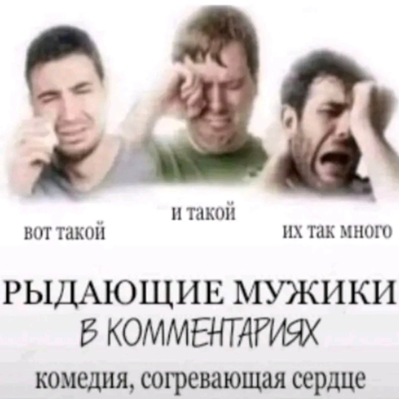 Доска прослезившихся. Wife Material