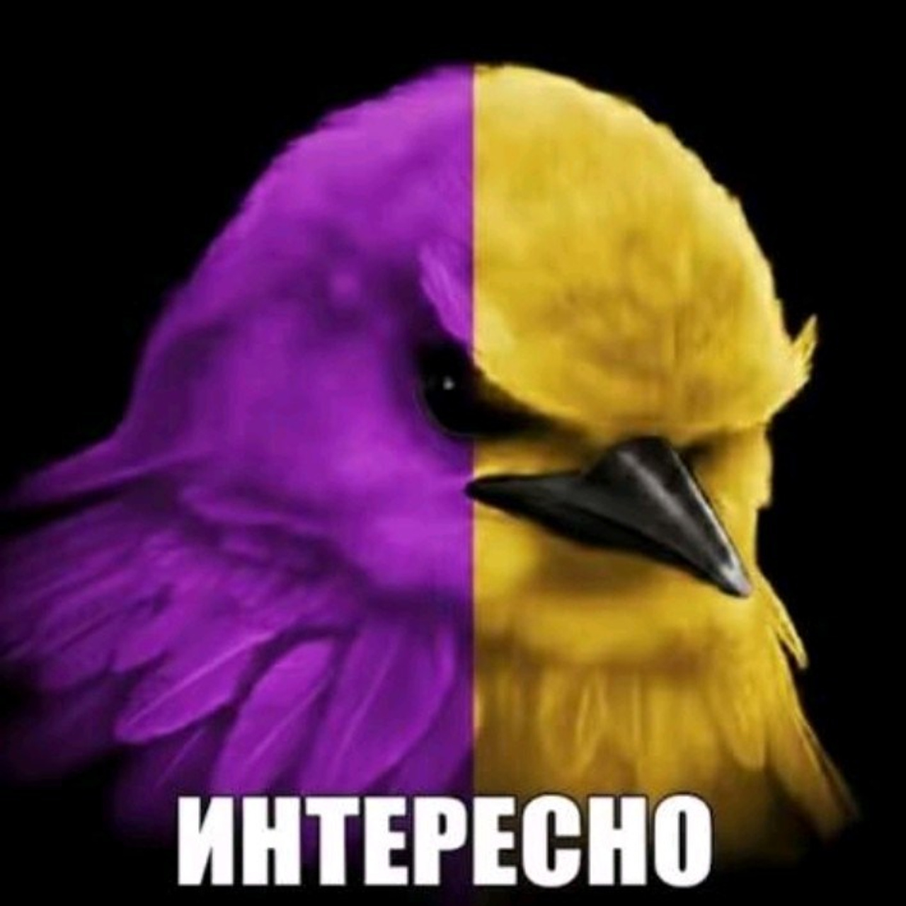 Доска прослезившихся
