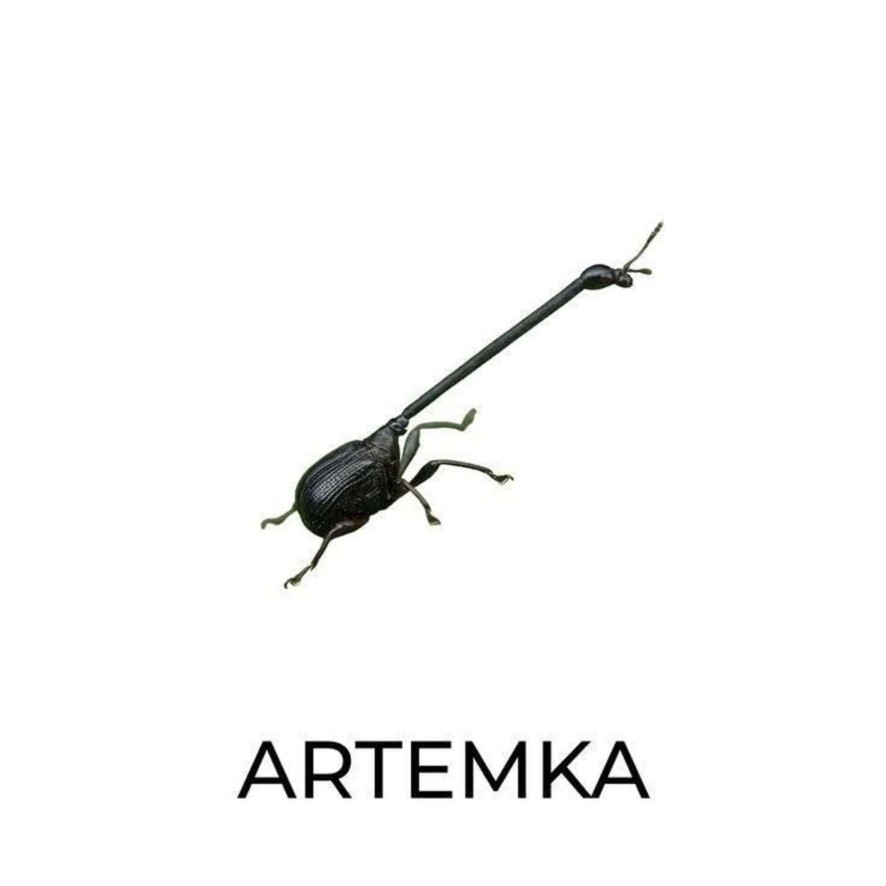 Доска прослезившихся